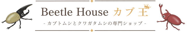 Beetle House カブ王