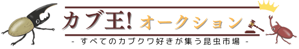 Beetle Auction カブ王!オークション